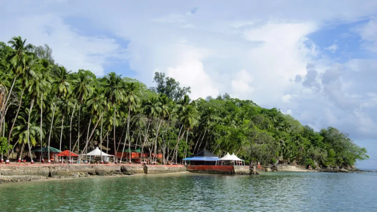 Why an Andaman Holiday Package Is Perfect for a Relaxing Trip