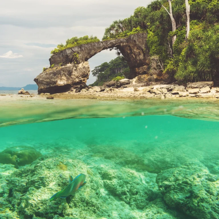 7 Hidden benefits of booking an Andaman tour package from Mumbai