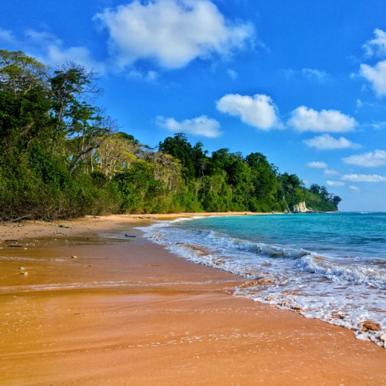 Escape crowded destinations with an Andaman tour package from Bangalore