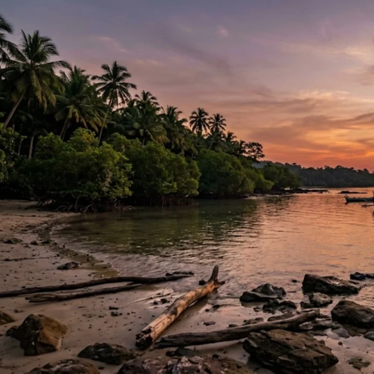 25 Free & Low-Cost Things to Do in Andaman